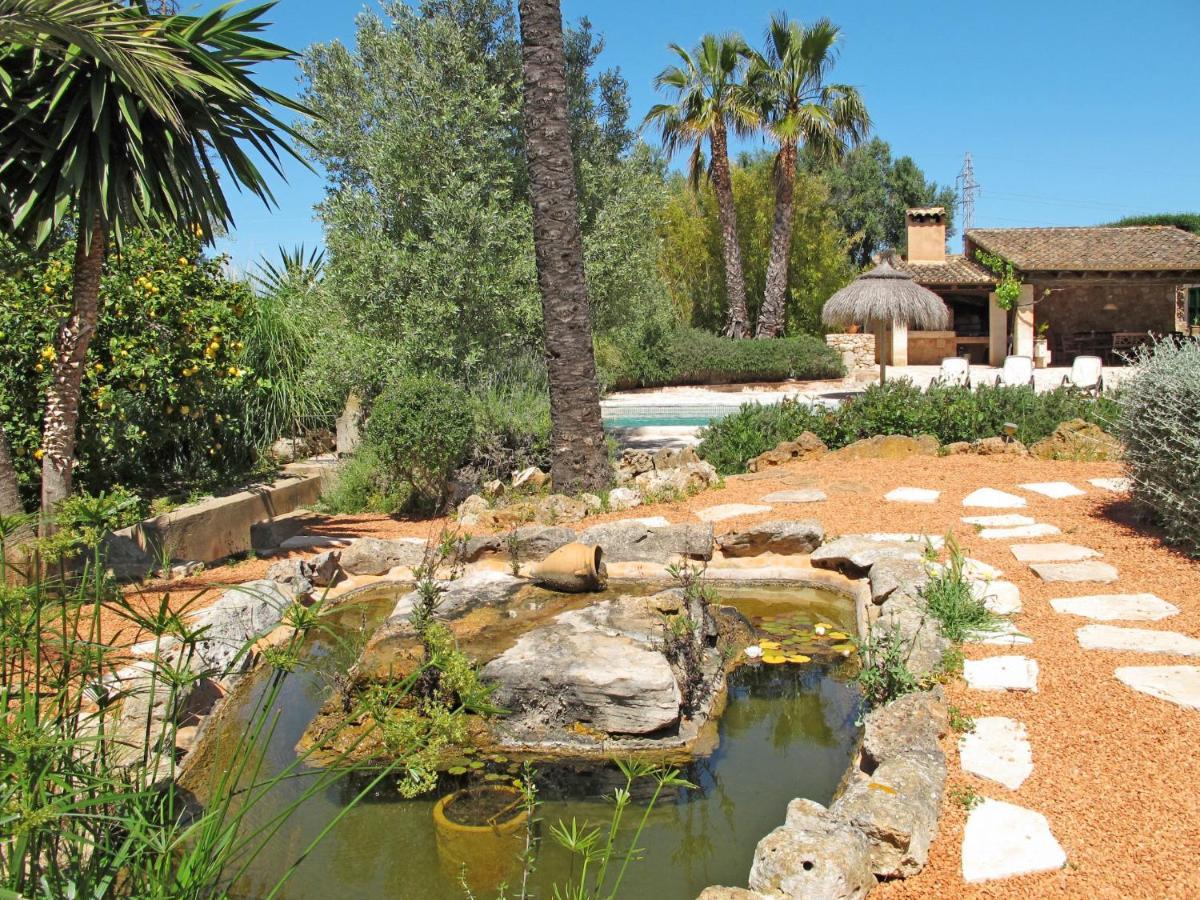 Moli De Son Vidal - Sny100 By Interhome